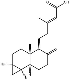 Metasequoic acid A 化学構造式