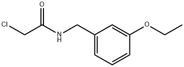 2-Chloro-N-[(3-ethoxyphenyl)methyl]acetamide Structure
