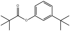 1204518-16-0 ピバル酸3‐TERT‐ブチルフェニル