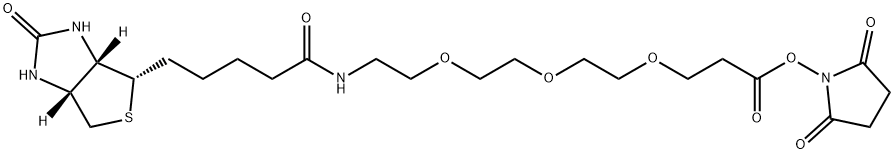 Biotin-PEG3-NHS ester Structure