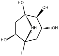 calystegine B1 Struktur