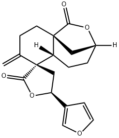 levatin Structure