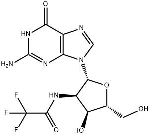 2'-TFA-NH-dG Struktur
