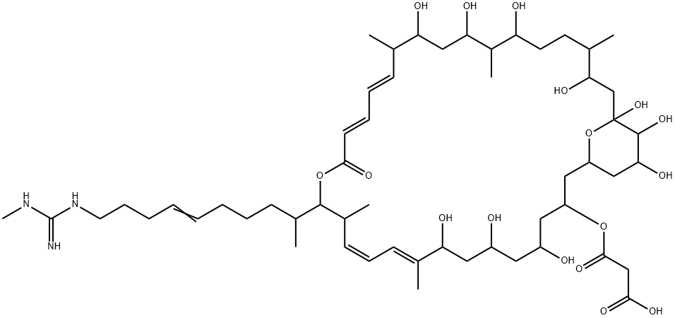 Propanedioic acid, mono[5,7,9,23,25,27,31,33,34,35-decahydroxy-15-[9-[[imino(methylamino)methyl]amino]-1-methyl-5-nonenyl]-10,14,22,26,30-pentamethyl-17-oxo-16,37-dioxabicyclo[31.3.1]heptatriaconta-10,12,18,20-tetraen-3-yl] ester (9CI) 化学構造式