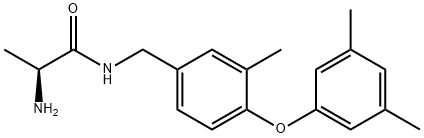 SGC2085 Struktur