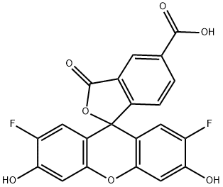 Oregon Green 488 carboxylic acid|OG 488 酸