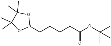 5-(四甲基-1,3,2-二氧杂硼戊烷-2-基)戊酸叔丁酯, 2114335-58-7, 结构式