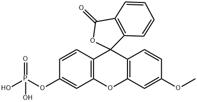 21214-18-6 Structure