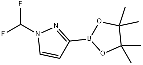 1-(difluoromethyl)-3-(tetramethyl-1,3,2-dioxaborolan-2-yl)-1H-pyrazole 结构式