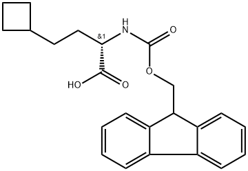 (S)-2-(Fmoc-amino)-4-cyclobutylbutanoic acid Structure