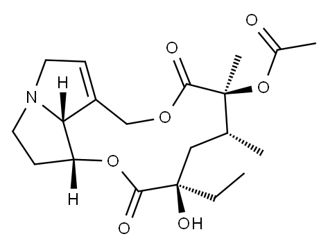 Isoline Struktur