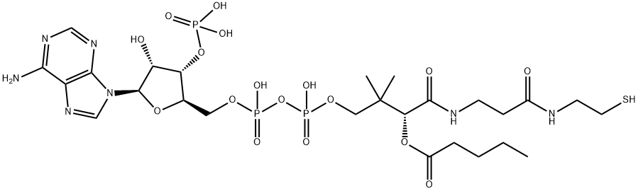 valeryl-coenzyme A|