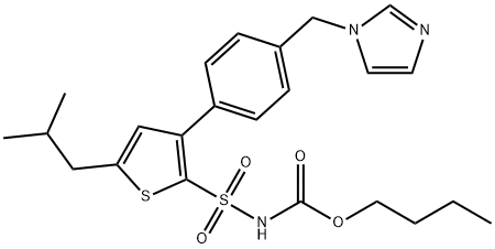 M 24 Structure