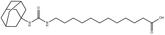 AUDA Structure