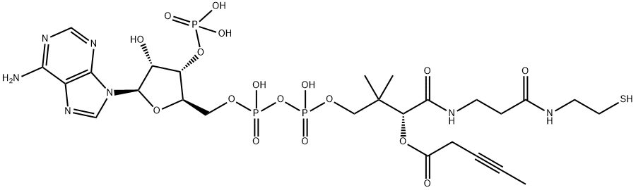 3-pentynoyl-coenzyme A Struktur