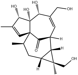 1H-2,8a-Methanocyclopenta[a]cyclopropa[e]cyclodecen-11-one, 1a,2,5,5a, 6,9,10,10a-octahydro-5,5a,6-trihydroxy-1,4-bis(hydroxymethyl)-1,7,9-tr imethyl-, [1S-(1alpha,1aalpha,2alpha,5beta,5abeta,6beta,8aalpha,9alpha ,10aalpha)]- Structure