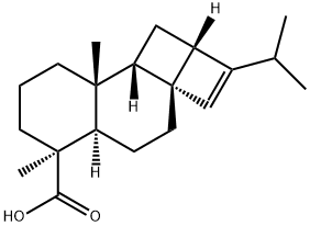 (1aR,3aR)-1,1a,5,5aα,6,7,8,9,9a,9bα-Decahydro-6,9aβ-dimethyl-2-(1-methylethyl)-4H-cyclobuta[2,3]cyclobuta[1,2-a]naphthalene-6α-carboxylic acid Struktur