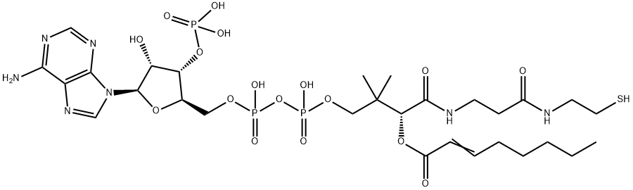 S-2-Octenoate coenzyme A|