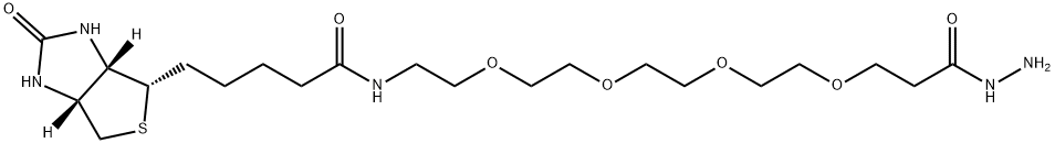 ビオチン-PEG4-ヒドラジド 化学構造式