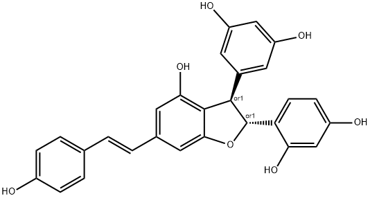 グネチンD 化学構造式