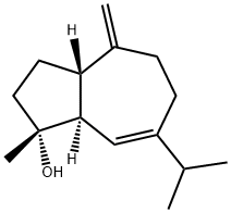 alismol Struktur