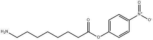 4-nitrophenyl ester -8-amino- Octanoic acid Structure