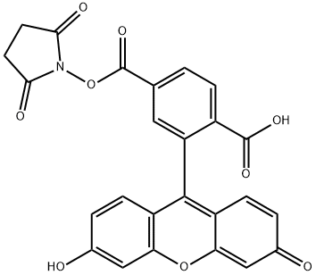 Flurescein-NHS ester Structure