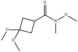 Cyclobutanecarboxamide, N,3,3-trimethoxy-N-methyl- Structure