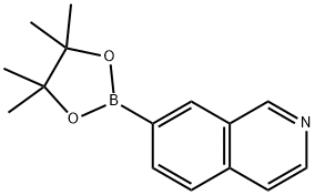 7-异喹啉硼酸频哪醇酯 结构式
