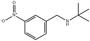 Benzenemethanamine, N-(1,1-dimethylethyl)-3-nitro- Struktur