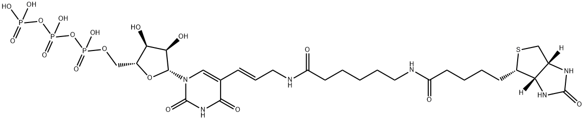121714-70-3 5-(N-[N-Biotinyl-ω-aminocaproyl]-3-aminoallyl)uridine 5′-triphosphate