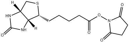 Biotin-NHS Structure