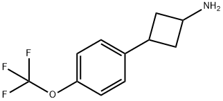 Cyclobutanamine, 3-[4-(trifluoromethoxy)phenyl]- Struktur