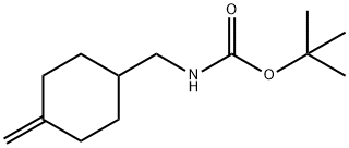叔丁基((4-亚甲基环己基)甲基)氨基甲酸酯 结构式