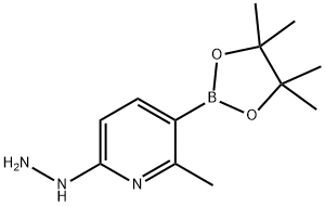 Pyridine, 6-hydrazinyl-2-methyl-3-(4,4,5,5-tetramethyl-1,3,2-dioxaborolan-2-yl)- Structure