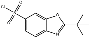 2-(叔丁基)苯并[D]恶唑-6-磺酰氯 结构式