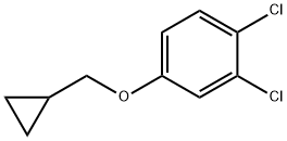 Benzene, 1,2-dichloro-4-(cyclopropylmethoxy)-,1369950-96-8,结构式