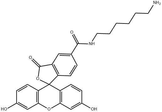 5-羧基荧光素-氨基盐酸盐 结构式