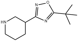 5-tert-Butyl-3-(piperidin-3-yl)-1,2,4-oxadiazole Structure