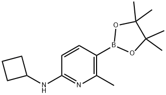 1415656-32-4 N-cyclobutyl-6-methyl-5-(tetramethyl-1,3,2-dioxaborolan-2-yl)pyridin-2-amine