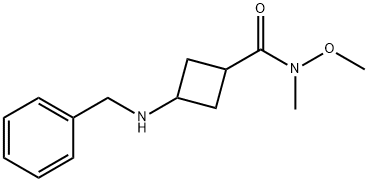 Cyclobutanecarboxamide, N-methoxy-N-methyl-3-[(phenylmethyl)amino]- 结构式