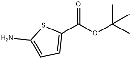 2-Thiophenecarboxylic acid, 5-amino-, 1,1-dimethylethyl ester|5-氨基噻吩-2-羧酸叔丁酯