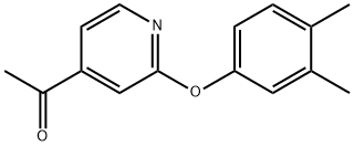 2-(3,4-二甲苯氧基)-4-乙酰基吡啶, 1502160-24-8, 结构式