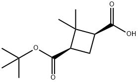 (1S,3R)-3-(tert-butoxycarbonyl)-2,2-dimethylcyclobutanecarboxylicacid(WX192116) Structure