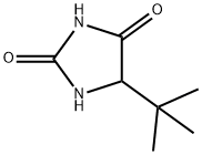 5-tert-butylimidazolidine-2,4-dione Struktur