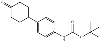 [4-(4-oxo-cyclohexyl)-phenyl]-carbamic acid tert-butyl ester Structure
