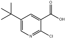 3-Pyridinecarboxylic acid, 2-chloro-5-(1,1-dimethylethyl)- Struktur