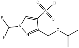 1-(difluoromethyl)-3-(isopropoxymethyl)-1H-pyrazole-4-sulfonyl chloride 结构式