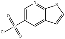 噻吩并[2,3-B]吡啶-5-磺酰氯, 1864060-96-7, 结构式