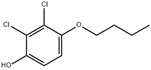 4-丁氧基-2,3-二氯苯酚, 1881291-83-3, 结构式